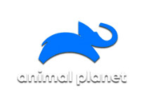 Телепрограмма Animal planet